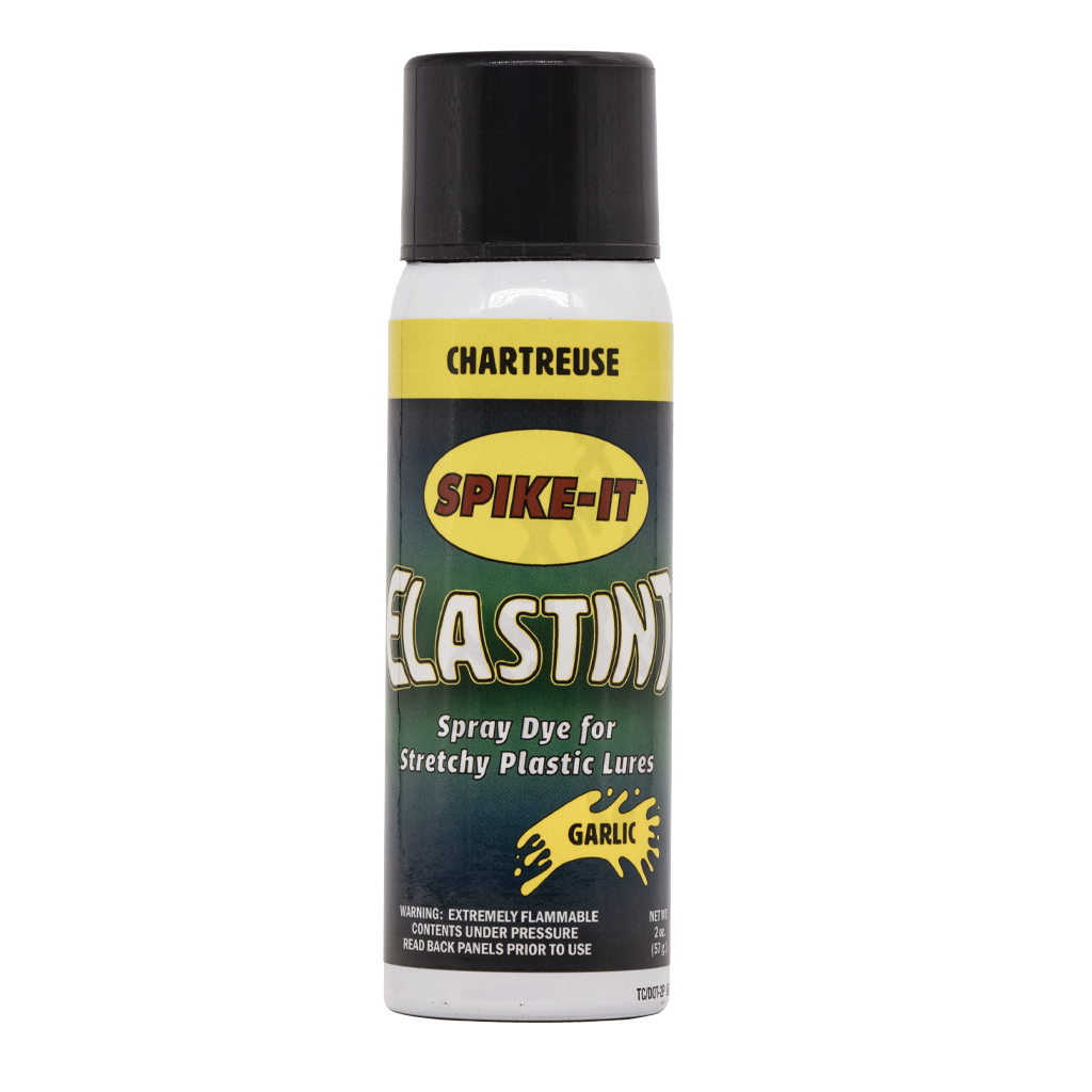 ElasTint Spray Dye
